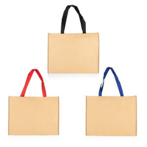 Bolsa Hoover
